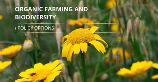 Biodiversity In Organic Farming