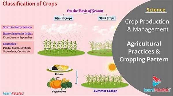 Chemical-free Crop Production Techniques