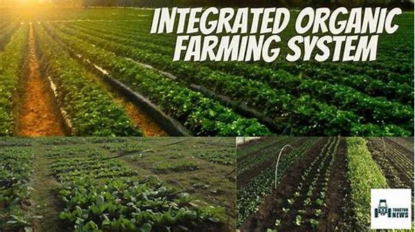 “connecting Communities Through Organic Agriculture”