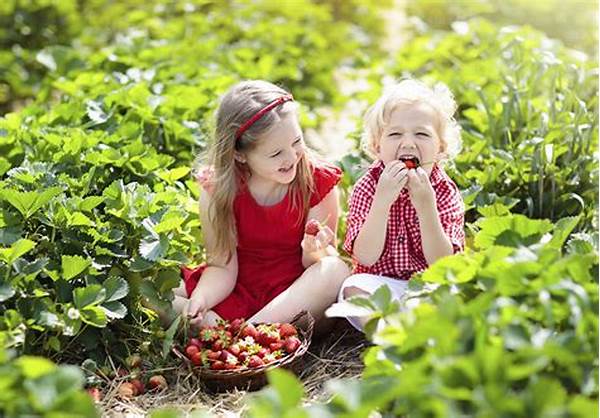 Family-friendly Berry Picking Farms