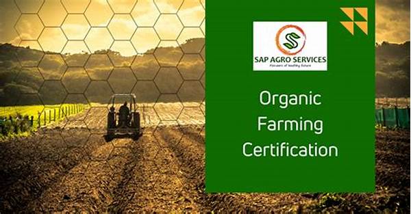 How To Achieve Organic Farming Certification