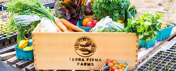 Leading Organic Farms Providing Csa Subscriptions