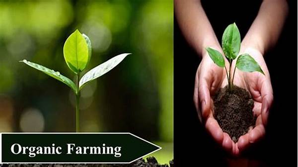 Most Profitable Organic Farm Crops