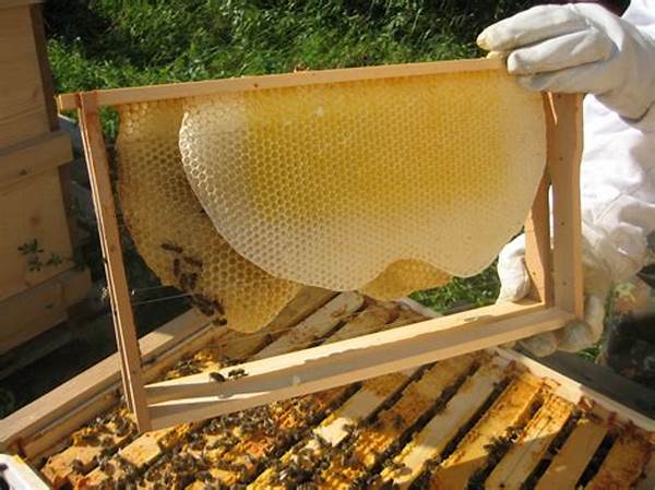 Organic Beekeeping Techniques