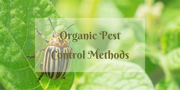 Organic Farm Practices For Pest Control