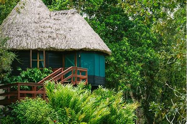 Organic Farms Offering Eco-friendly Lodging