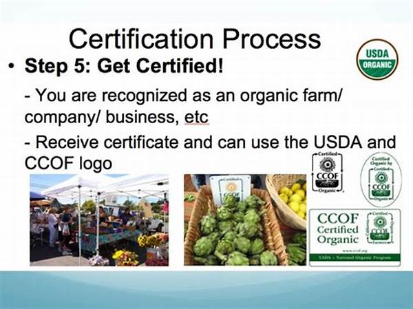 Step-by-step Organic Certification Process
