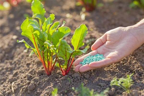 Sustainable Fertilizers For Vegetable Crops.