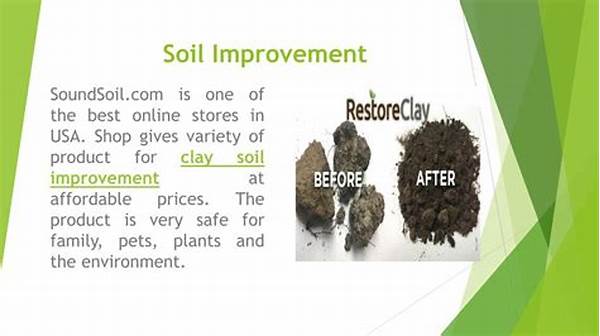 Sustainable Soil Enrichment Products