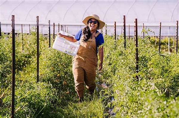 Top Organic Farms Offering Csa Subscriptions