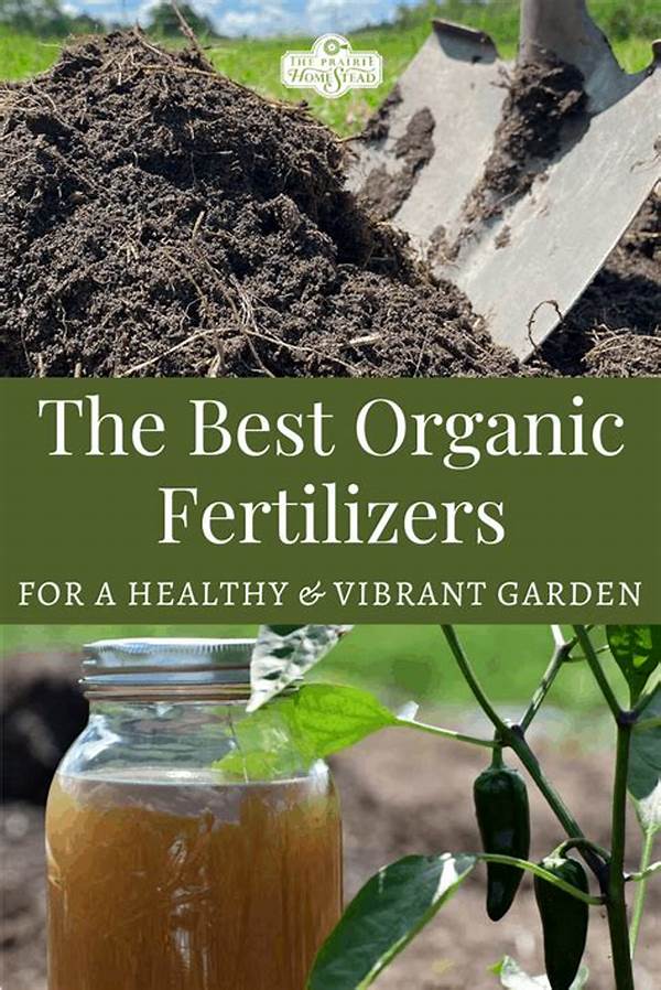 Top Organic Fertilizers For Gardening.