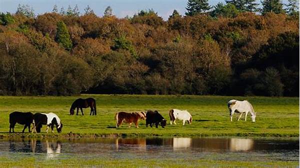 Wildlife Habitats On Farms