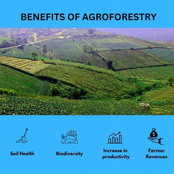 Agroforestry Systems For Soil Conservation