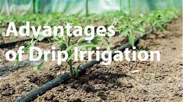 Benefits Of Drip Irrigation Systems