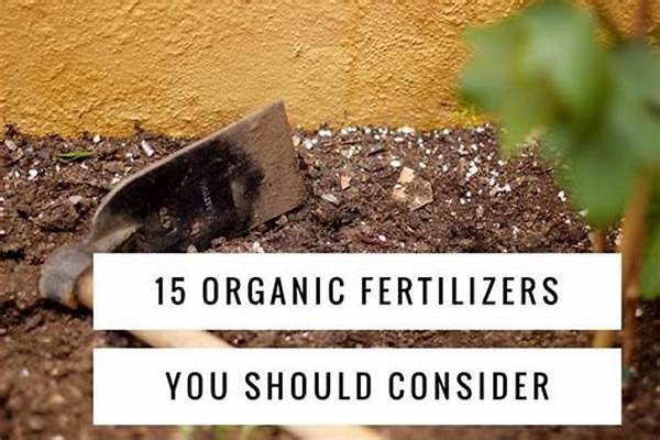 Best Natural Fertilizers Available