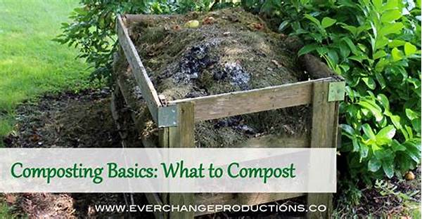 Composting Basics For First-time Gardeners
