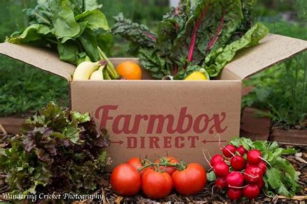 Farm-direct Organic Produce Delivery