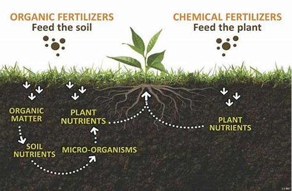 Improving Soil Health With Organic Fertilizers