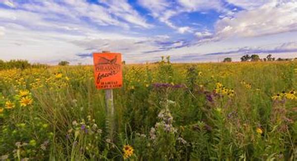 Integrating Wildlife Habitats In Agriculture