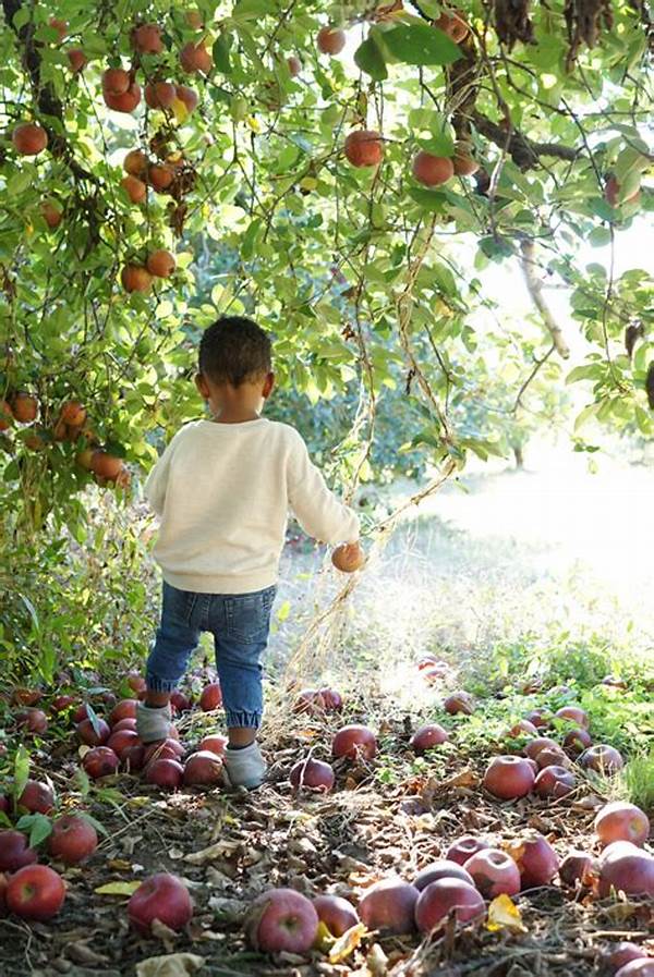 Organic Berry Picking Experiences