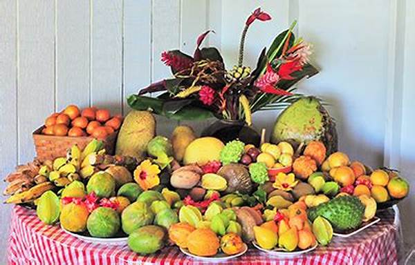 Organic Farm-to-table Fruit Excursions