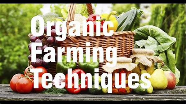 Organic Farming Techniques For Beginners