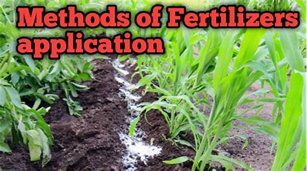 Organic Fertilizer Application Techniques