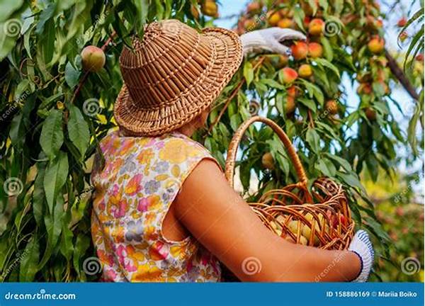 Organic Peach Orchards For Picking