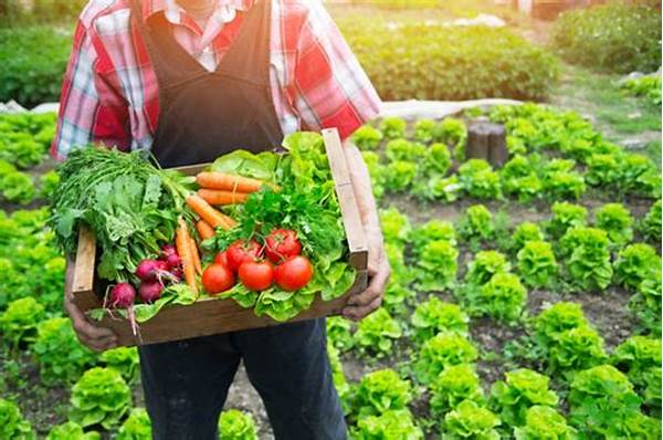 Organic Produce From Local Farms