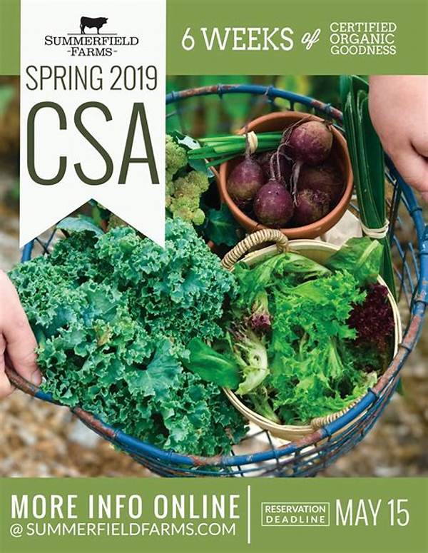 Popular Organic Farms For Csa