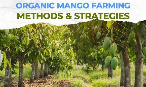 Pricing Strategies For Organic Farm Produce