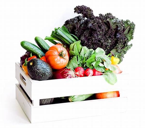 Seasonal Organic Farm Produce Box