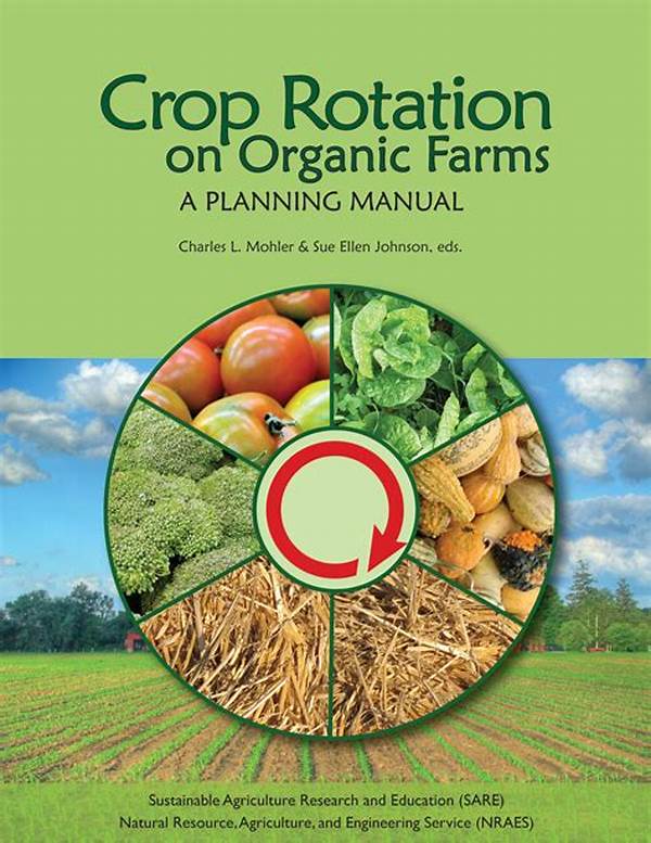 Techniques For Organic Crop Rotation