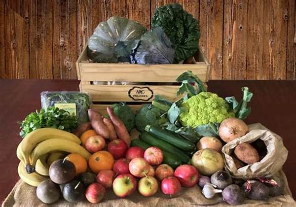 Affordable Organic Vegetable Delivery Options