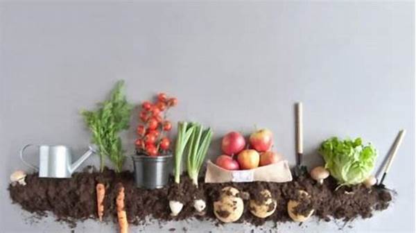 Best Organic Compost For Vegetables