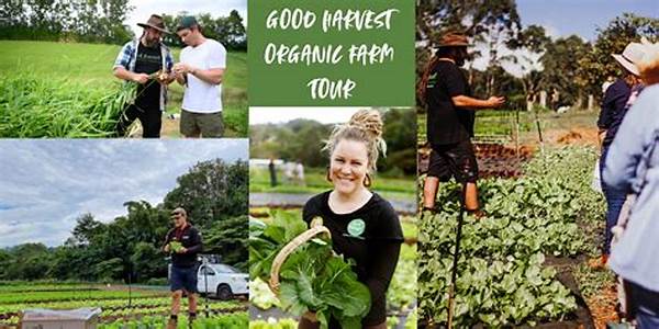 Best Organic Farm Tours Near Me