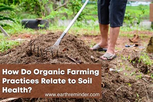 How To Build Healthy Soil For Organic Farming