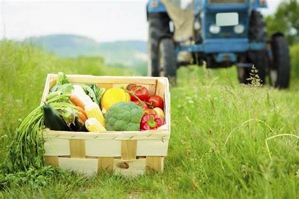 Locally Grown Organic Produce