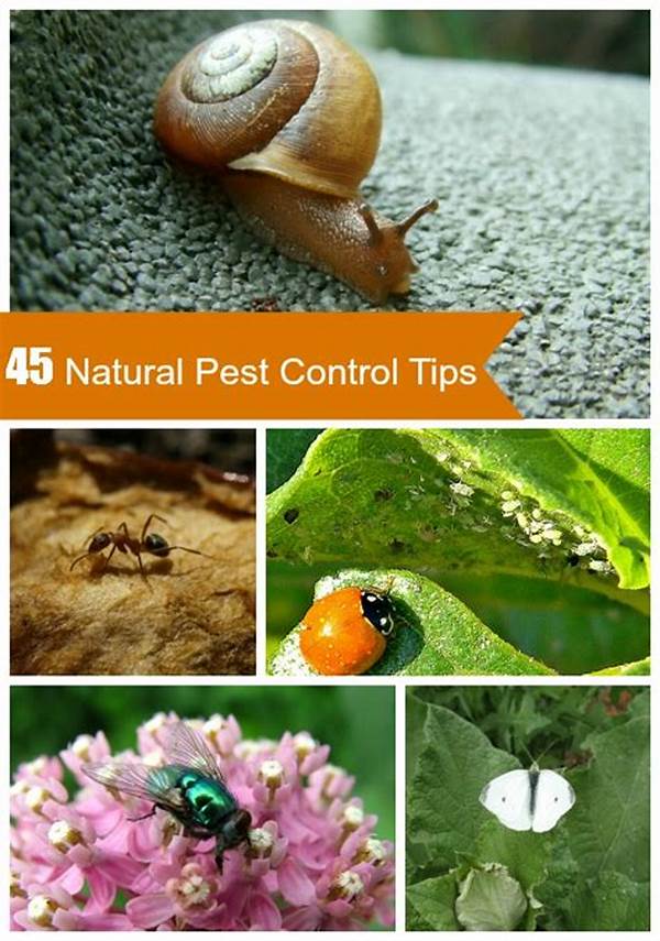 Natural Garden Pest Solutions