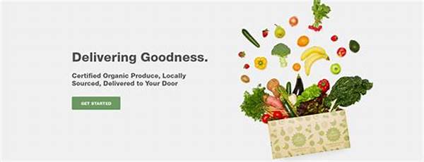 Organic Vegetable Home Delivery Options