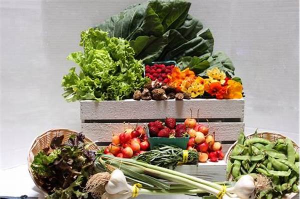 Weekly Organic Produce Subscription Package
