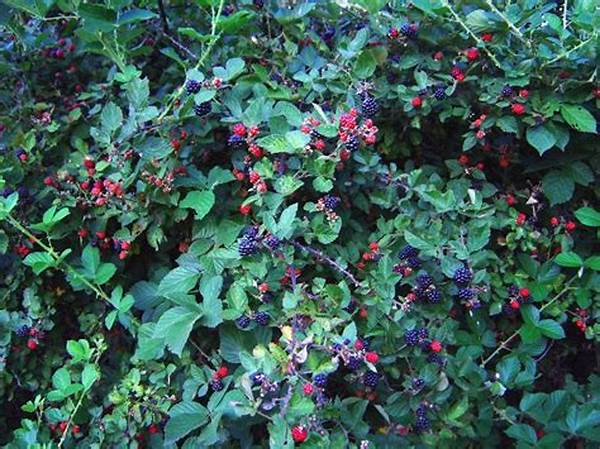 Nature-focused Berry Picking Retreats