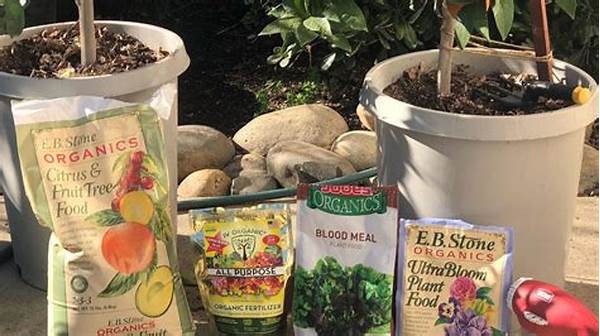 Organic Fertilizers For Tree Health