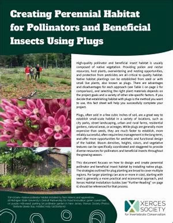 Beneficial Insect Habitat Creation.