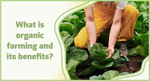 Benefits Of Organic Farming Practices