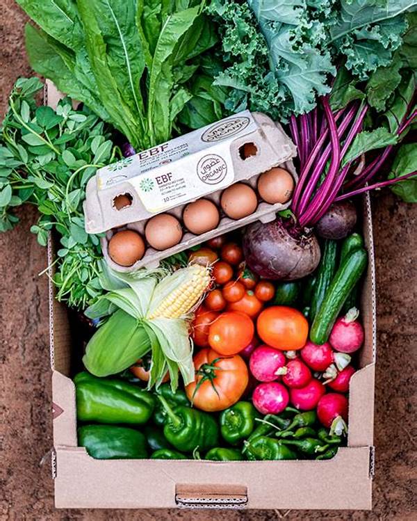 Best Value Organic Produce Subscriptions