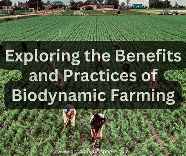 Biodynamic Fertilizers For Low-impact Farming