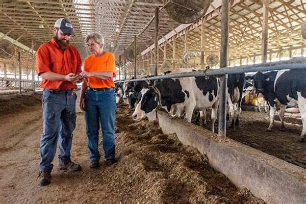 Dairy Farm Animal Welfare