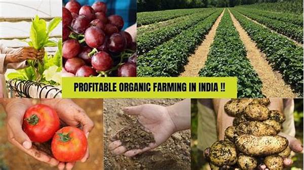 Enhancing Profitability In Organic Farming