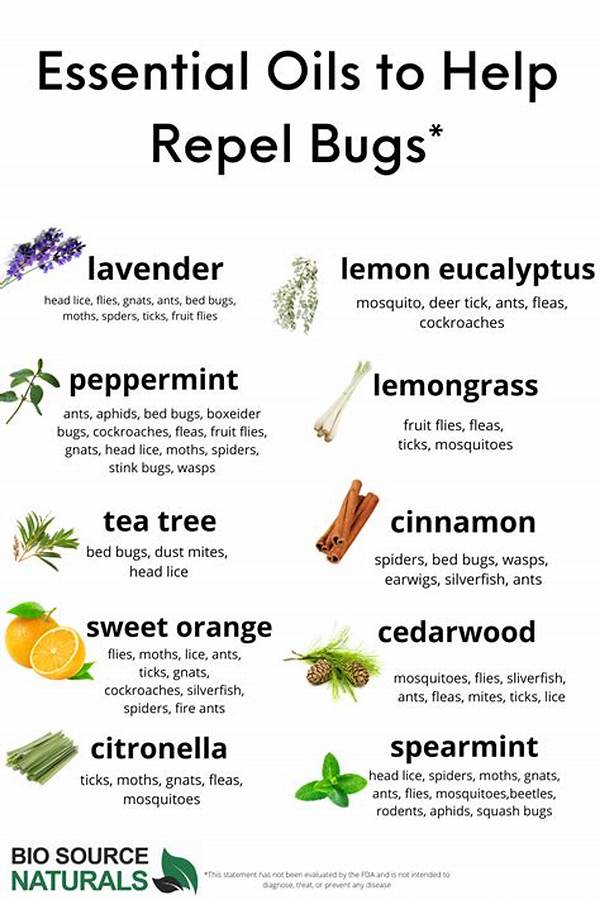 Essential Oil Recipes For Insects